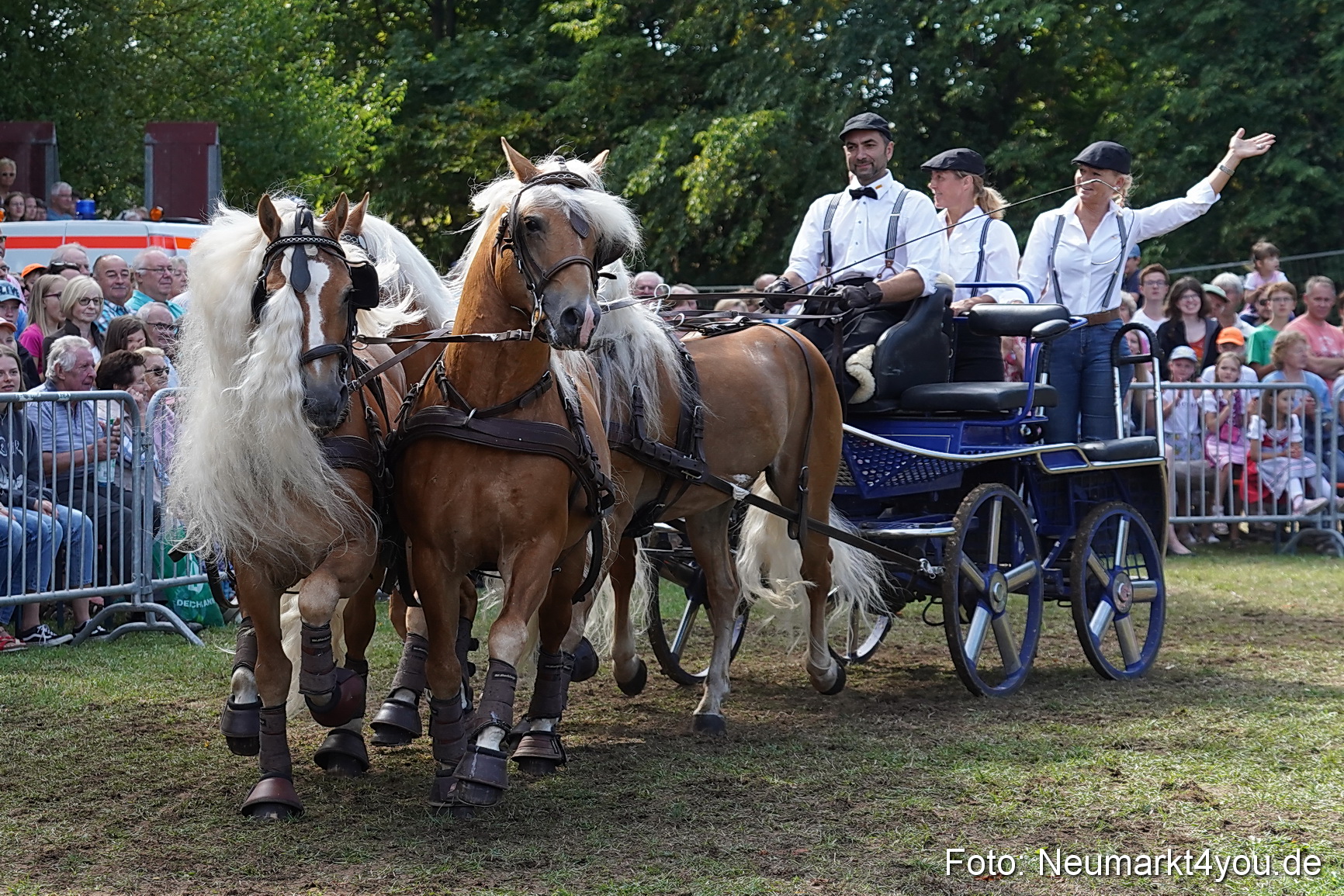Pferde und Fohlenschau 2022 0245 